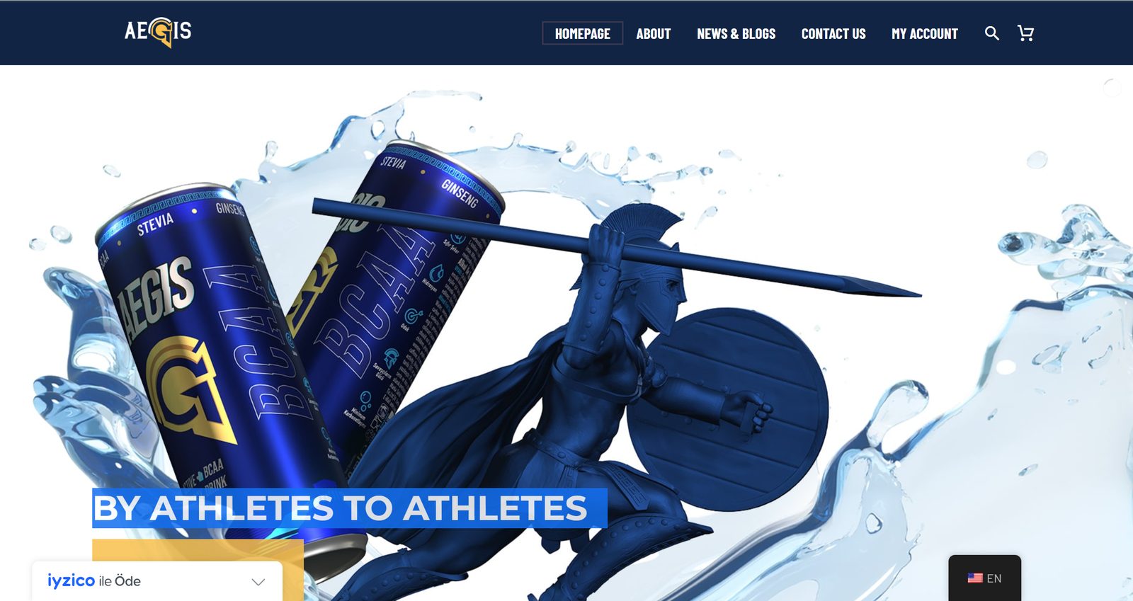 Homepage of the AEGIS website